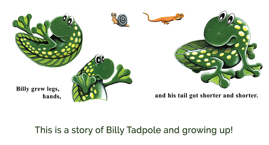 Children's Frog Story Book for Kids, Children's books made in Michigan, Children's Books on Friendship, Friends, Childrens Books, Frogs